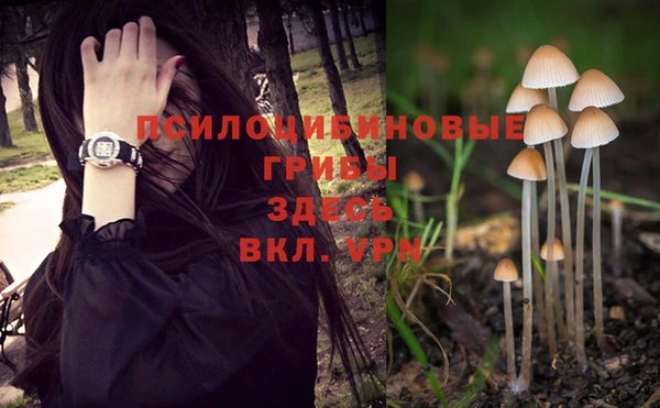 Альфа ПВП Абинск
