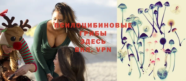 бутират Горнозаводск