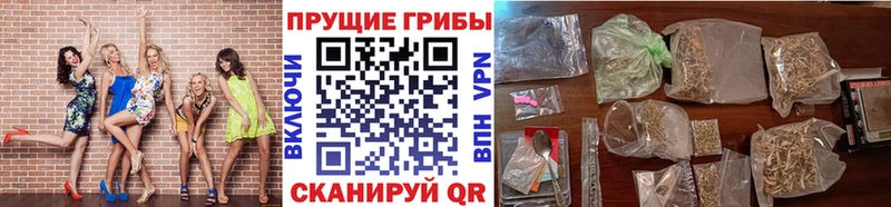 Псилоцибиновые грибы ЛСД  цена наркотик  даркнет состав  Ржев 
