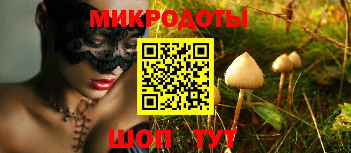 Псилоцибиновые грибы мицелий Ржев