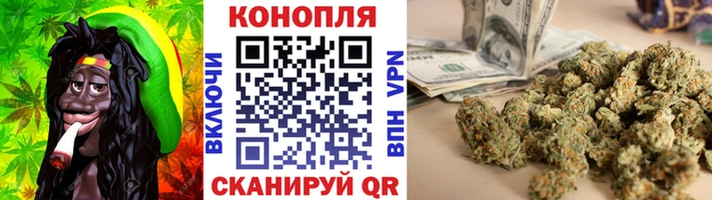 Шишки марихуана семена  Ржев 